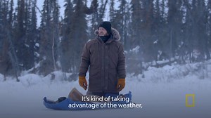 4K views · 43 reactions | How do you hunt a creature as dangerous as a wolverine? Find out on Life Below Zero Next Generation tomorrow at 8/7c on National Geographic. | National Geographic TV | Facebook