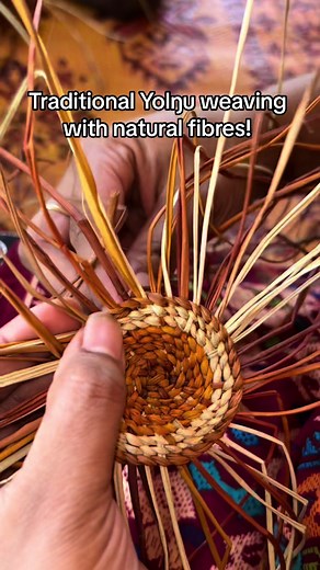 Traditional Yolŋu Weaving with Natural Fibres | Aboriginal TikTok