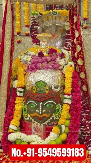 #best #love #astrology #india 9549599183 #all #love #problem #solution #astrology #service #uk #usa