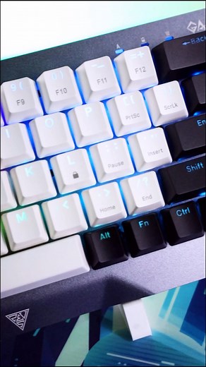 The compact Hermes M4 Hybrid packs a punch with mechanical switches, vibrant RGB and seamless connectivity! #Evetech #Gamdias #gamingkeyboard #wirelesskeyboard #mechanicalkeyboard #rgbkeyboard #hermesm4 #hybridkeyboard #gamingsetup #pcgaming | Evetech