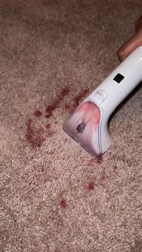 Ultimate Carpet Cleaning Guide: Tips and Tricks