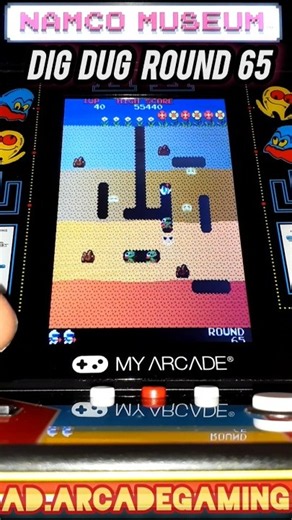 Dig Dug Level 65