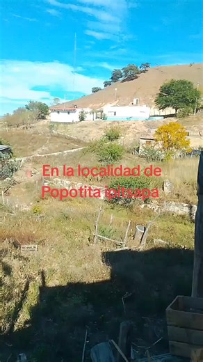 Videos de Adalberto Robles Mejia (@adalbertoroblesmejia) con “sonido original - Adalberto Robles Mejia”