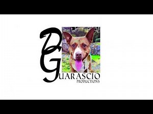 David Guarascio Productions/ABC Studios/Sony/Sony Pictures Television (2017)