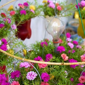 Decorate your space with these beautiful hanging flower ideas | Great DIY Idea