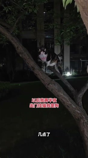 Midnight Adventures: Unveiling Secrets in the Dark