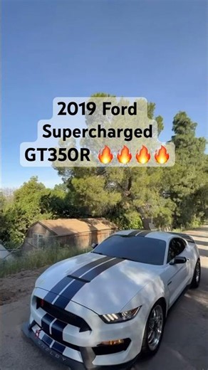 2019 Ford Mustang Shelby GT350R #ford #automobile #supercars