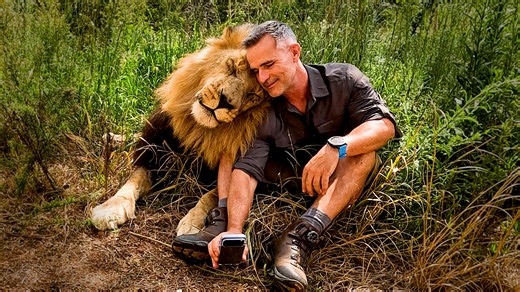 Lion reunites with human