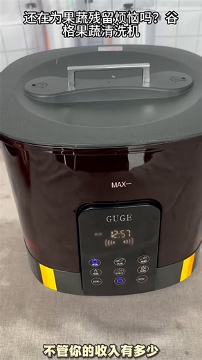 谷格（GUGE）德国果蔬清洗净化机洗菜机家用全自动【钛·正反转清洗】水果净化器灭菌去农药残留食材净化机G99