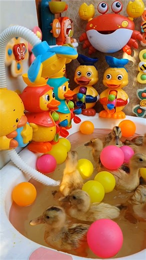 Outdoor ducky waterwheel bath time 😍🥭🐤🦆 #short