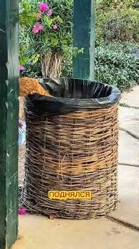 Weather in Sharm el-Sheikh on January 12th - Warm, but WINDY in the evening!