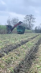 Chama a nasa!!! ♦️ PORTAL DOS CANAVIEIROS --- DESDE 2013 --- Maior portal do setor canavieiro do Brasil #portaldoscanavieiros #tecnica #trator #sojabrasil #maquinasagricolas #brutageitosa #agropecuaria #agricola #cultura #milho #johndeerepower #valtrabrasil #fazenda #operador #canavieiro #canada #usina #brutageitosa #caipira #bruta #agronomia #plantio #farmgirl #farmers #johndeere #caseihagriculture #caseih #instalyon #instagram #citrus #pecuariabrasil #johndeerepower | Portal dos Canavieiros