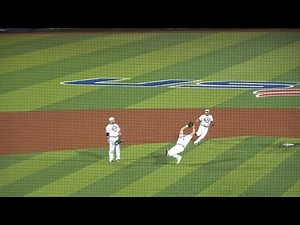 2019 Blooper video clips of Major Softball