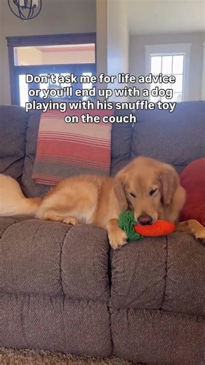 My dog's favorite Snuffle Toy for boredom by LuftPets!!