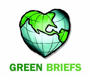 Green Briefs: Green Building Group back