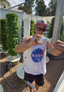 Timelapse Crop Growth: Aeroponic Towers vs Soil — 30% Faster