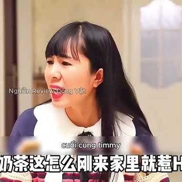 Những chú chó bị bỏ rơi không muốn bị ruồng bỏ, nhưng chúng lại mắc một sai lầm lớn.