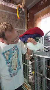 We in last 5 months have been in custody of 40 birds. We called her cloey. | APR All Parrot Rescue