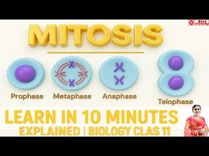 Mitosis Explained | Cell Division | Biology Class 11