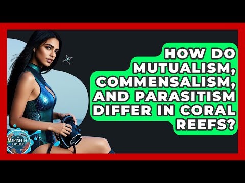 How Do Mutualism, Commensalism, And Parasitism Differ In Coral Reefs? - The Marine Life Explorer