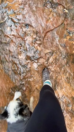 Water Canyon Trail, Hildale, Utah 💦🏜️ 📍 Hike Name: Water Canyon Trail ⏳ Duration: 3-4 hours round trip 📏 Distance: 3.5 miles (5.6 km) 📈 Elevation Gain: 1,000 ft (305 m) 🔥 Difficulty: Moderate Best Time to Hike: Spring & Fall Dog & Kid Friendly? Yes! But keep an eye on little ones—some rocky sections can be tricky. Permit Required? Nope! Just show up & enjoy. ⚠️ Tips: ✔️ Start early to catch the morning glow on the canyon walls. ✔️ Watch for slick rock & bring good hiking shoes. ✔️ A great 