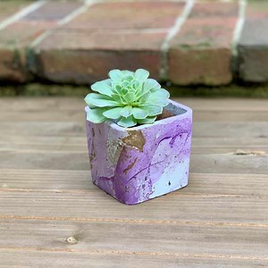 DIY Hydro Dipping Concrete Planters (Super fun!)