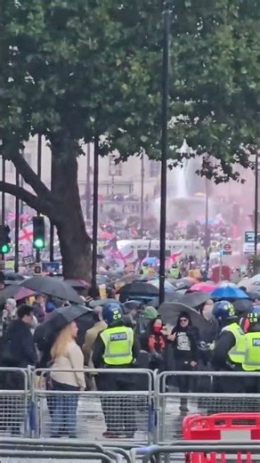 COP'S Block Protesters in to keep them safe #parade #travel #funny #london