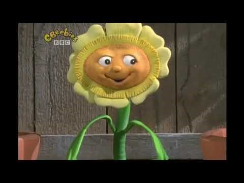 Final CBeebies UK Airing of Bill and Ben (29th August 2008)