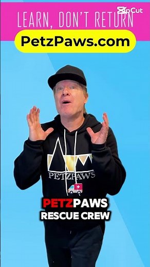 Havanese Health Secrets Every Owner Should Know! 🩺🐾| Live Dog Show!