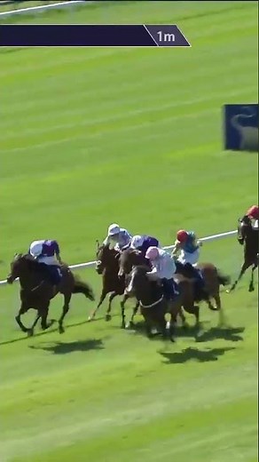 Breeders’ Cup aim for City Of Memphis