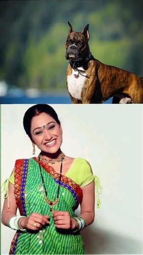 top 10 tmkoc actress and their dogs #shorts #trending #viral #daya #jethalal #babita #tmkoc