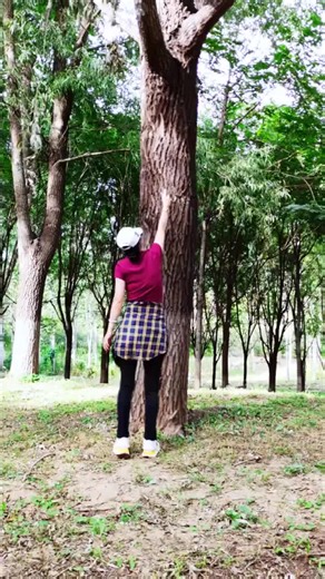 Exploring the Future of Robotics and AI Trends