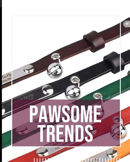  Comment "Shop" order this item  Personalised Leather Cat Collar...