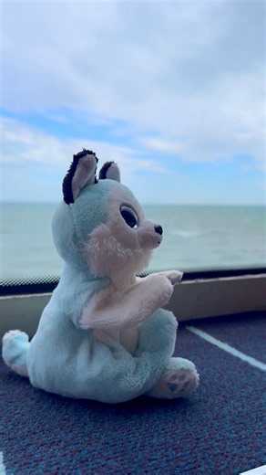 Family Ferry Adventure ⛴️ #ad #brittanyferriesguernsey #kids #kidsvideo #explore #holiday #family