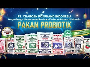 Pakan Probiotik PT. Charoen Pokphand Indonesia - Testimoni