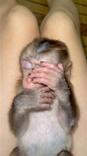 It seems like Na is having a dream that's preventing her from sleeping well.‪@MonkeySuSu168‬