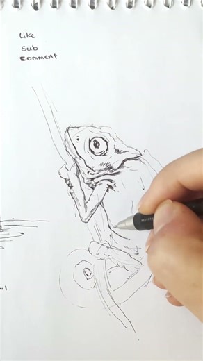 Sketching a Chameleon Today! 🦎✨ #dailydoodle #chameleon