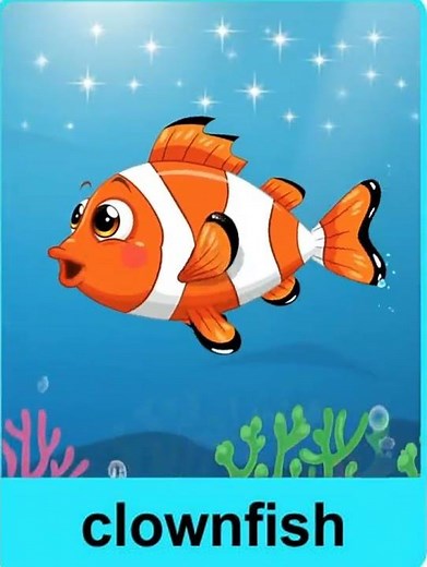Learn About Clownfish for Kids 🐠 | Fun Ocean Animal Learning Video for Preschool & Kindergarten
