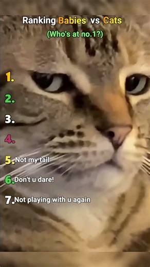 Ranking Babies vs Cats😼