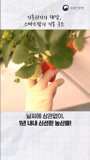 [농업기술동영상] 스마트 팜 시설 및 작목 선택방법