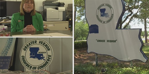 Vernon Parish sets the stage for its newest economic development authority