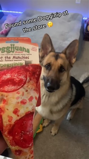 How to Nip a Dog: Dognip for your German Shepherd