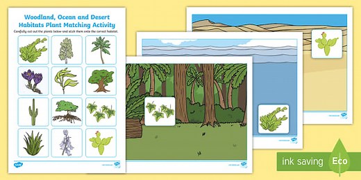 Woodland, Ocean and Desert Habitats Plants Sorting  Worksheet