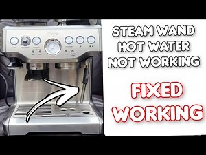 SAGE CLOGGED??? - How to unclog steam and hot water