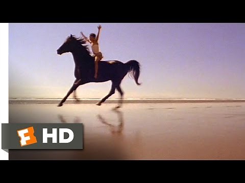 The Black Stallion (8/11) Movie CLIP - Riding the Stallion (1979) HD