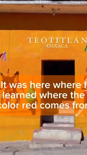 In Teotitlán del Valle, Oaxaca, I discovered that the famous red used by the Aztecs came from something so small — the cochineal insect. It lives on the Nopal! It’s incredible to see how Indigenous knowledge continues to color Mexico’s culture quite literally. So remember who brought COLOR into the world. Your welcome ✌🏼 Follow to learn about life in Mexico, places to visit and historical tidbits. Click here for the 10 places you should visit in Oaxaca En Teotitlán del Valle, Oaxaca, descubrí q