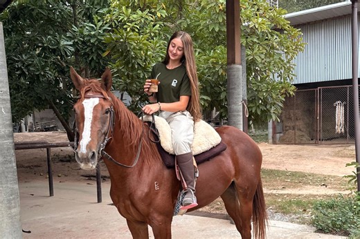 #ThursdayWithGaia: Anatomy of a polo horse - POLO PRESS
