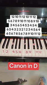421K views · 5.5K reactions | Canon in D✨ #easy #piano #pianotutorial #pianolesson #pianomusicalite | Piano Musicalité | Facebook