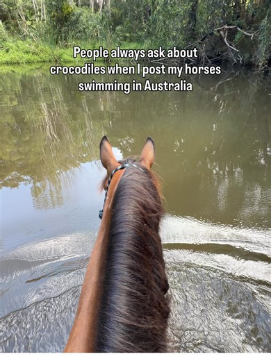 Fascinating Facts About Crocodiles and a Scary Story