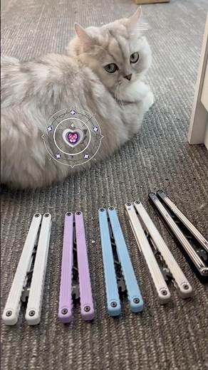 Just got my CAT ACE！/•᷅‎‎•᷄\\୭ 🐾..#Nabalis #balisong #flipping #cat #ace